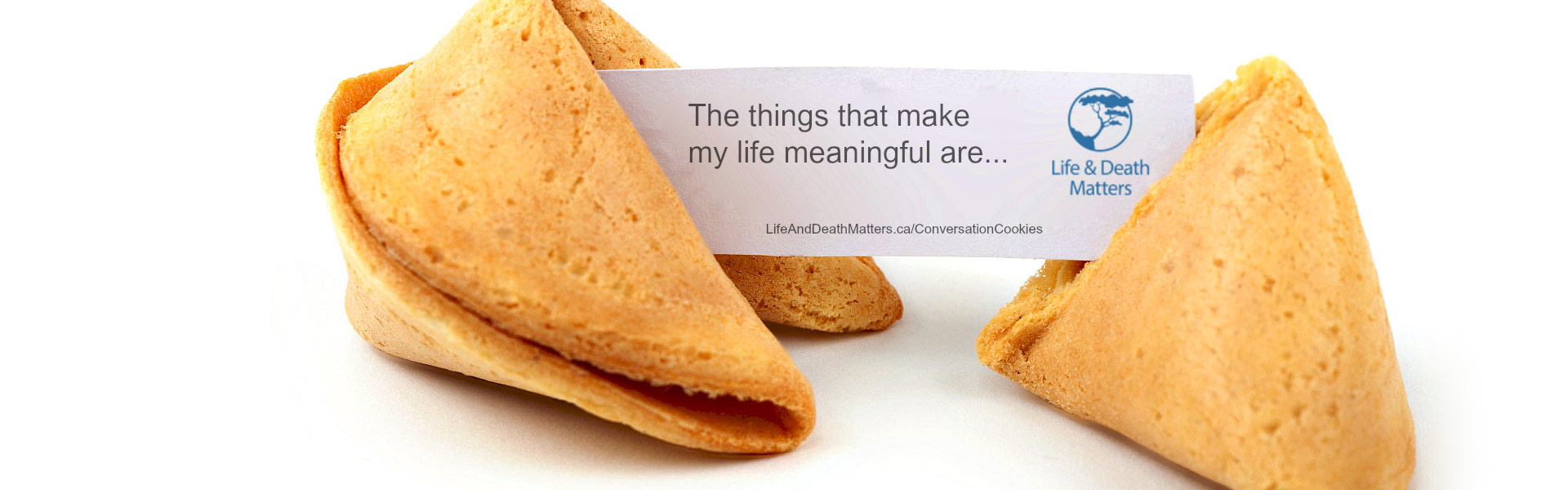 Care Planning Cookies - ACP DAY 2016