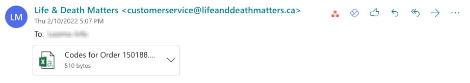 Downloadable Spreadsheet with Registration Codes